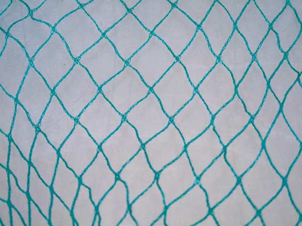 Laubschutznetz 6 x 10 m