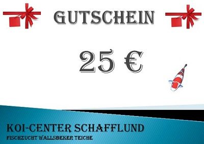 Gutschein 25 Euro