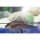 Teichset 14 Besatzfische Mix 60 Fische