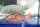 Goldrotfeder (Scardinius erythrophthalmus) 7- 10 cm, 20 Stück, Angebot