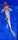 Koi 17 30- 35cm