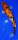 Koi 25 30- 35cm
