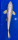 Koi 31 30- 35cm