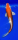 Koi 8- 20-25cm