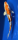 Koi 48- 20-25cm