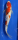 Koi 42 25- 30cm