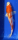 Koi 118- 20-25cm