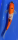 Koi 122- 20-25cm Taisho Sanshoku